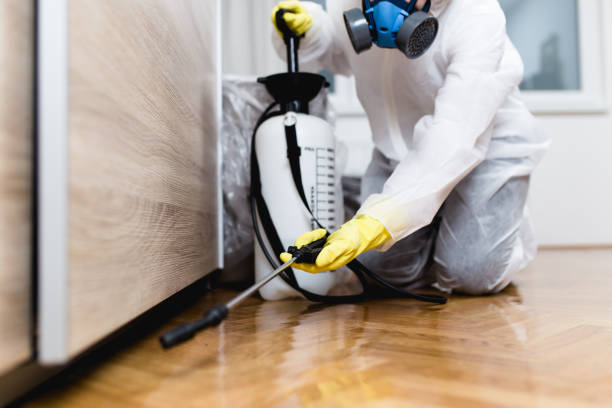 Best Insect Control  in Deephaven, MN