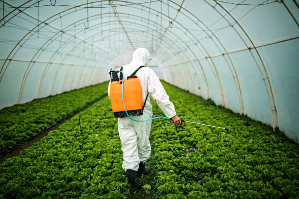 Best Pest Removal Services  in Deephaven, MN
