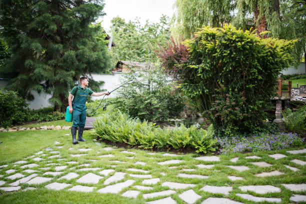 Professional Pest Control in Deephaven, MN