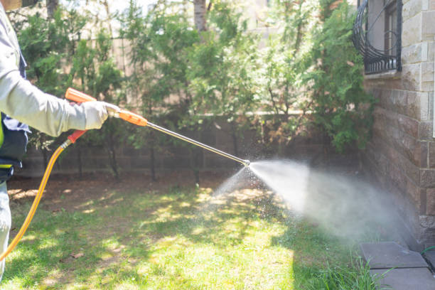 Best Pest Control Near Me in Deephaven, MN