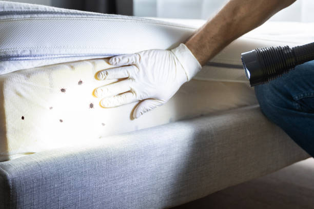Best Emergency Pest Control  in Deephaven, MN