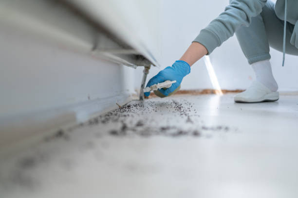 Pest Control Cost in Deephaven, MN